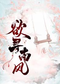 欲寻南风去(古风断案)